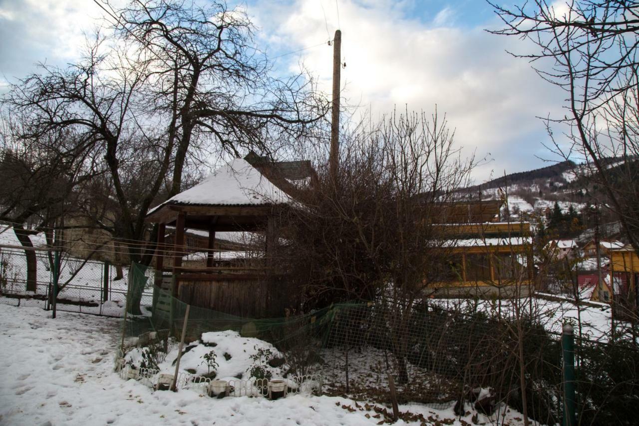 Zabava Apartment Yaremche Exterior photo